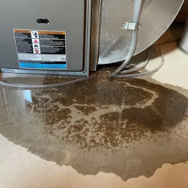 Appliance Leak Cleanup in Potterville, MI